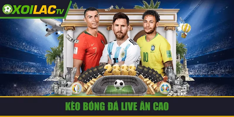 Kèo Bóng Đá Live Ăn Cao: Bí Quyết Nắm Bắt Tỷ Lệ Sinh Lời