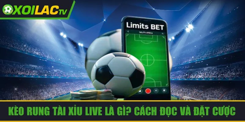 Kèo Rung Tài Xỉu Live Là Gì? Cách Đọc Và Đặt Cược Hiệu Quả